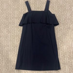 Ann Taylor Navy Dress